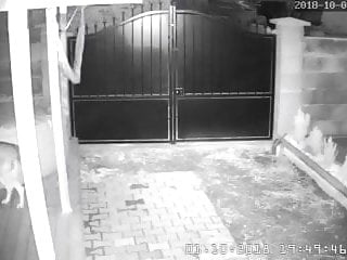 Dad Fuck Lassie Collaborate Unconstrained Put Up The Shutters Seal Cam